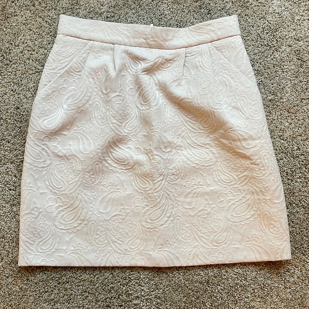 H&M A-line Pleated Mini Skirt with Pockets Zip up in back (Size 8)